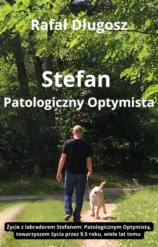 Stefan – Patologiczny Optymista: Projekt okładki